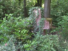 Friedhof 024.jpg